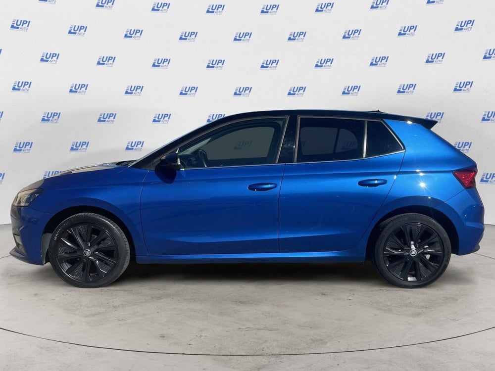 Skoda Fabia usata a Pistoia (2)