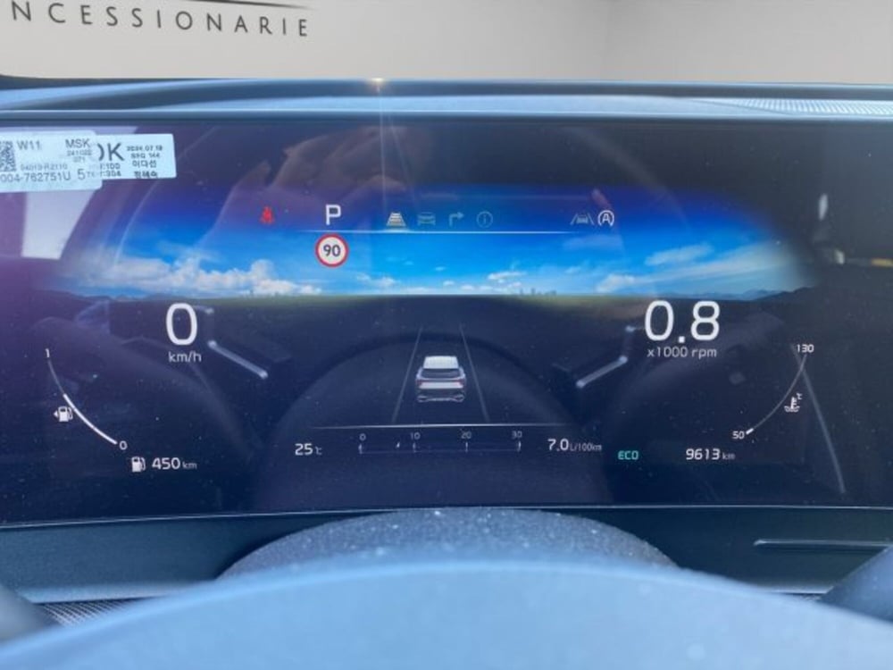 Kia Sportage usata a Perugia (13)