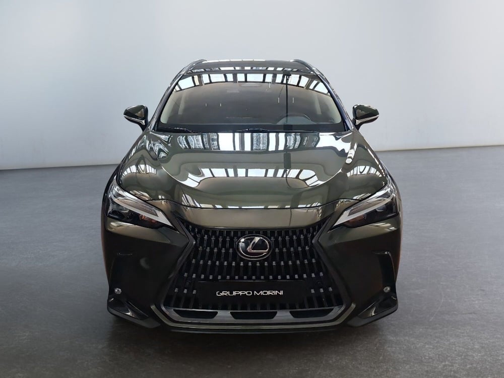 Lexus NX usata a Bologna (2)