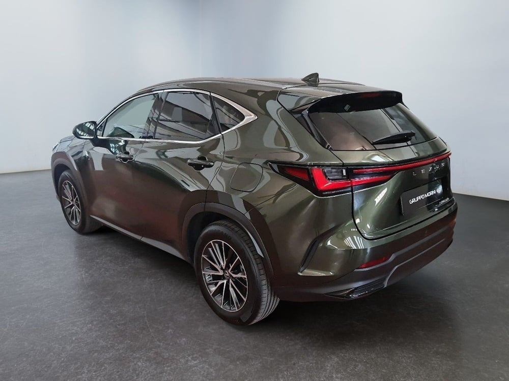 Lexus NX usata a Bologna (4)