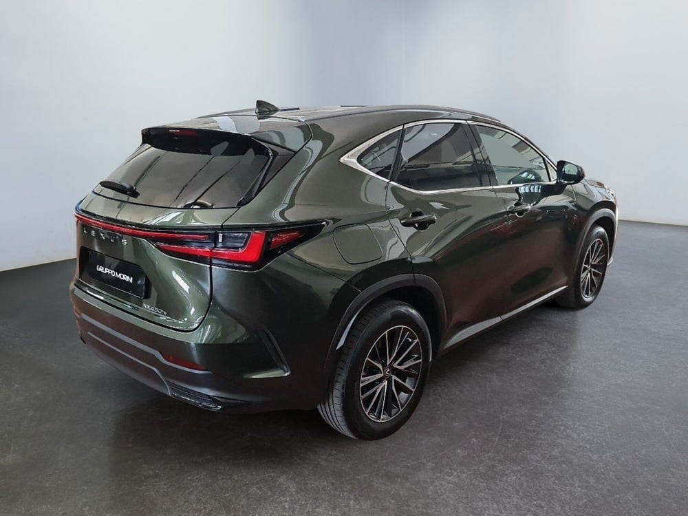 Lexus NX usata a Bologna (6)