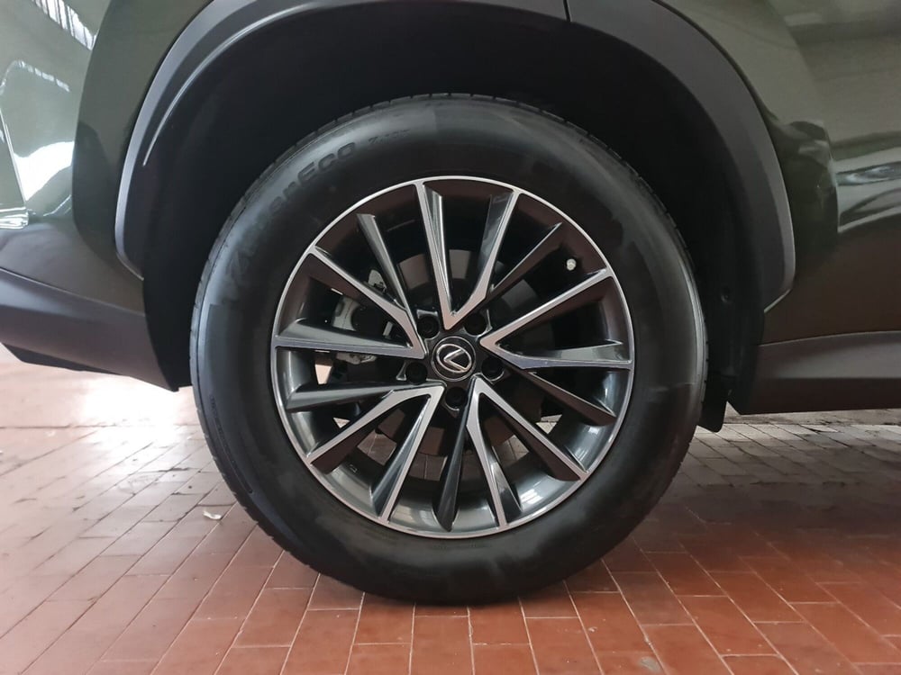 Lexus NX usata a Bologna (7)