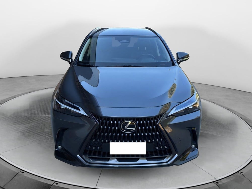 Lexus NX usata a Bologna (2)