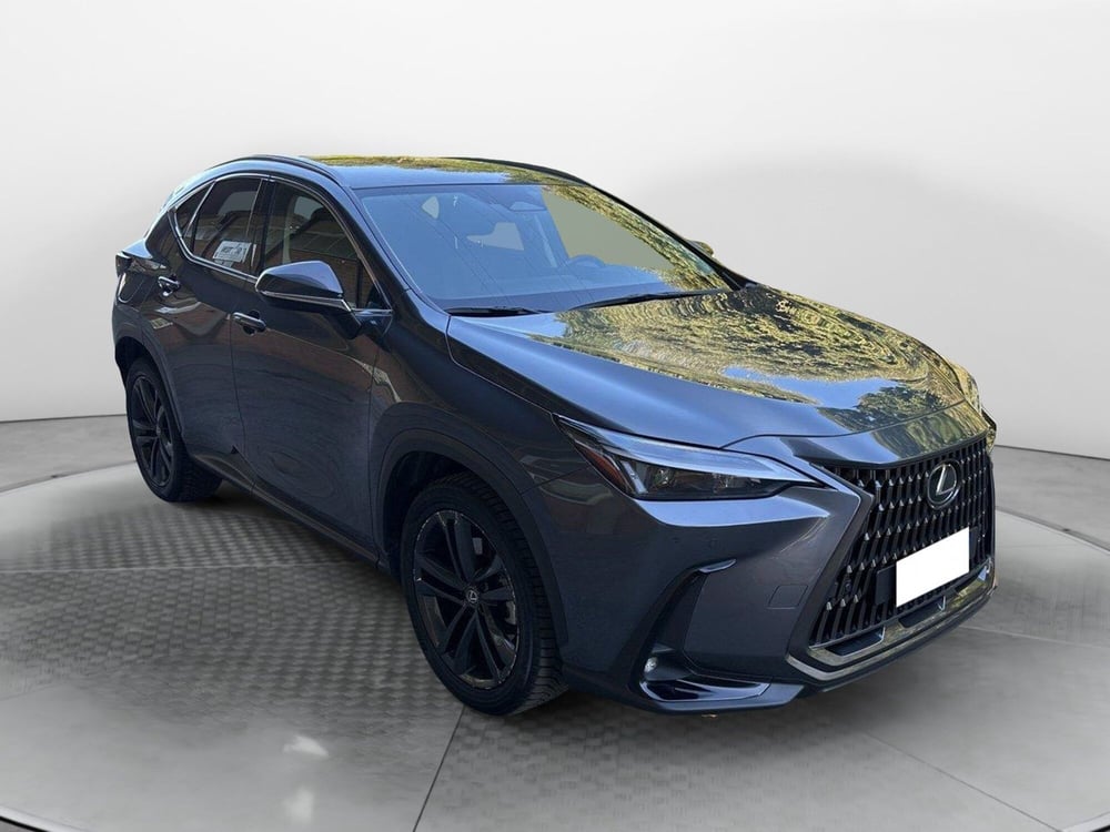 Lexus NX usata a Bologna (3)