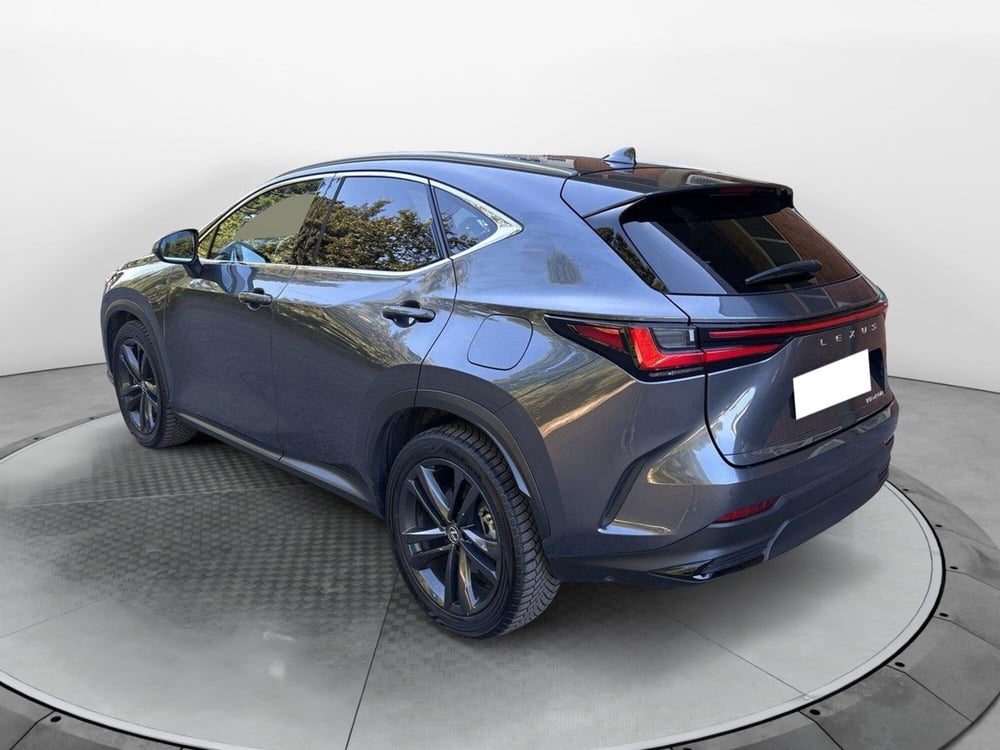 Lexus NX usata a Bologna (6)