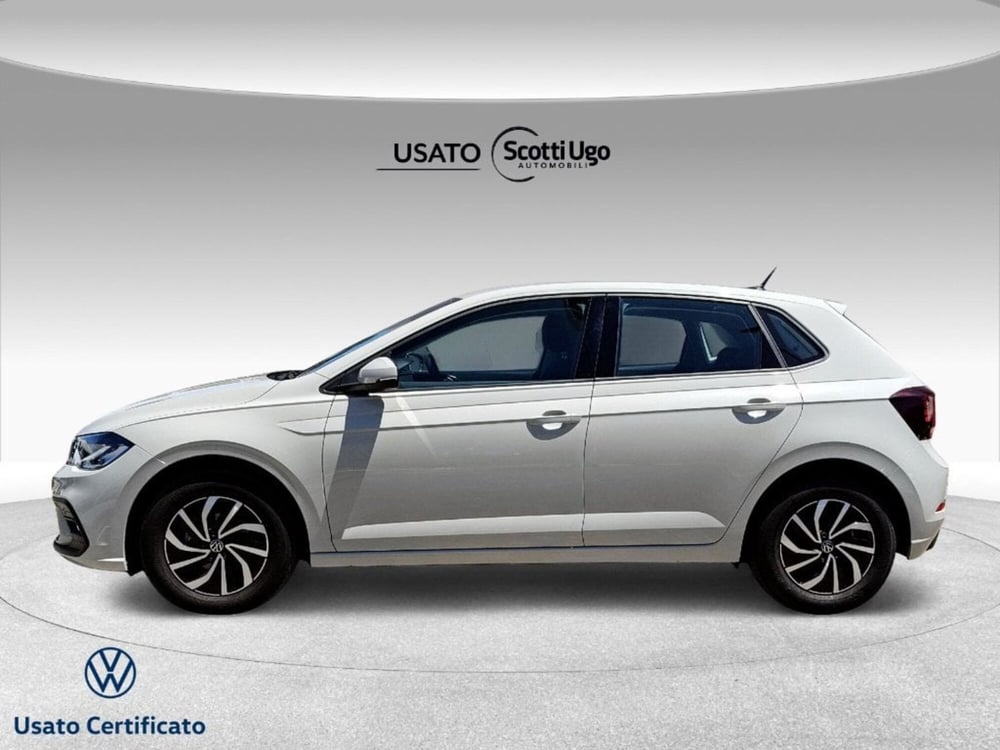 Volkswagen Polo usata a Livorno (3)