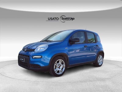 Fiat Panda 1.0 firefly hybrid s&amp;s 70cv 5p.ti del 2024 usata a Cascina