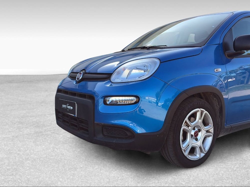 Fiat Panda usata a Pisa (13)