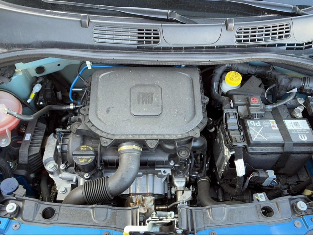 Fiat Panda usata a Pisa (14)