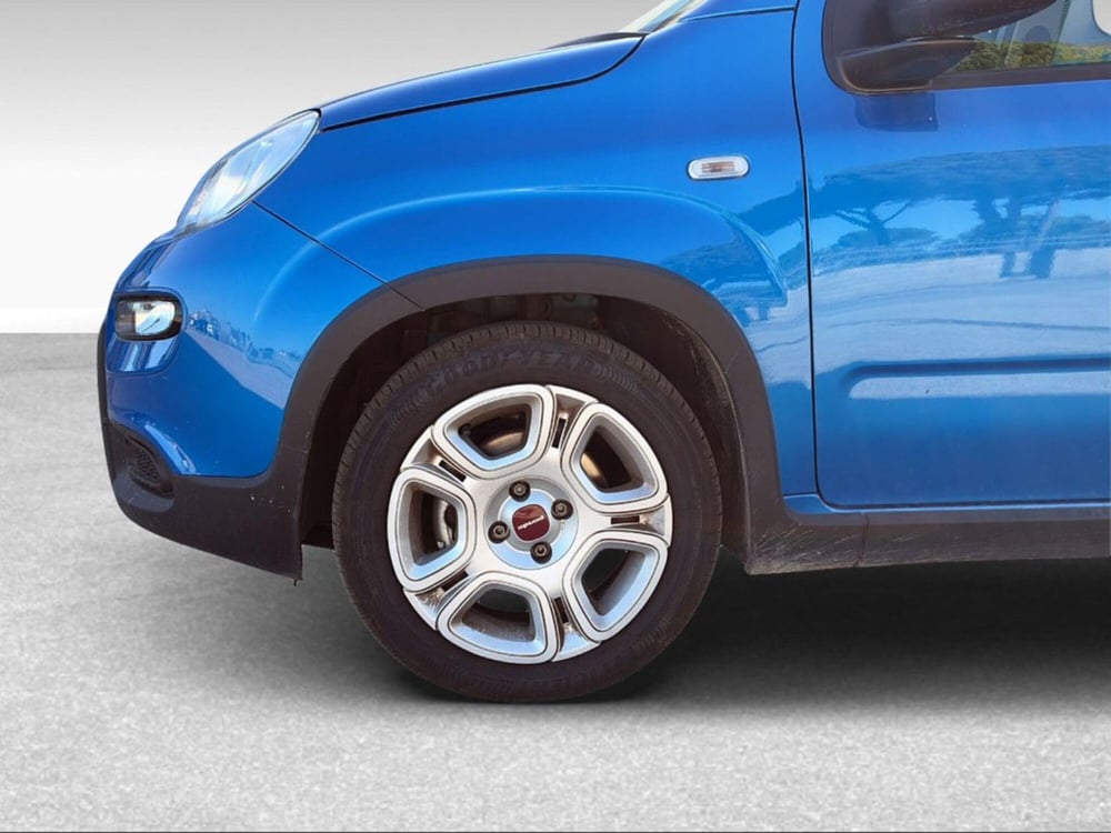 Fiat Panda usata a Pisa (15)