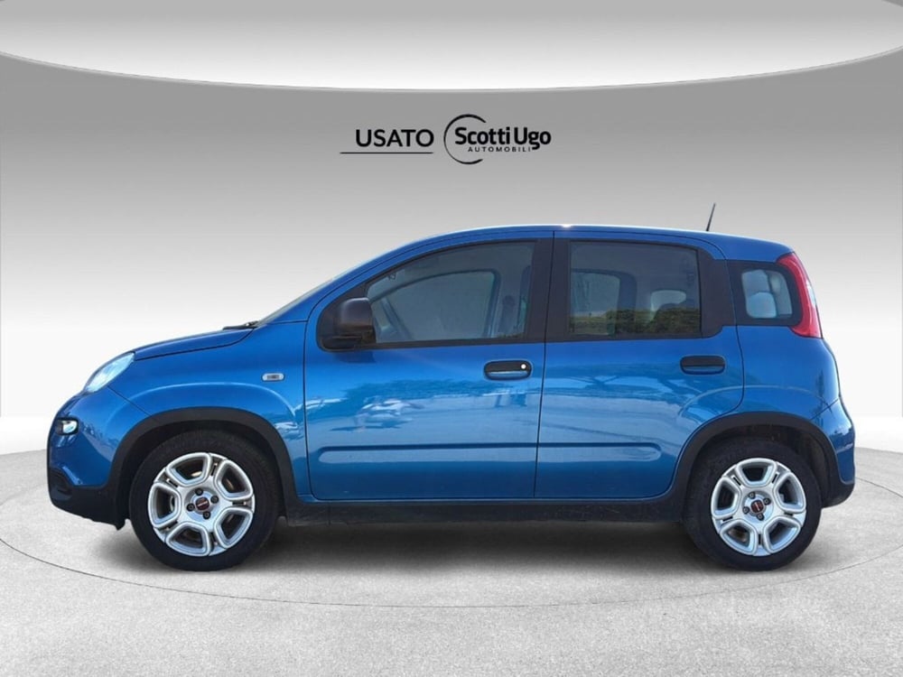 Fiat Panda usata a Pisa (3)