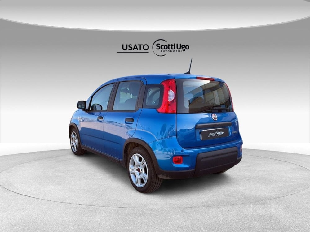 Fiat Panda usata a Pisa (4)