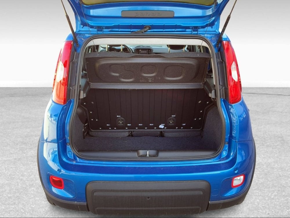Fiat Panda usata a Pisa (6)