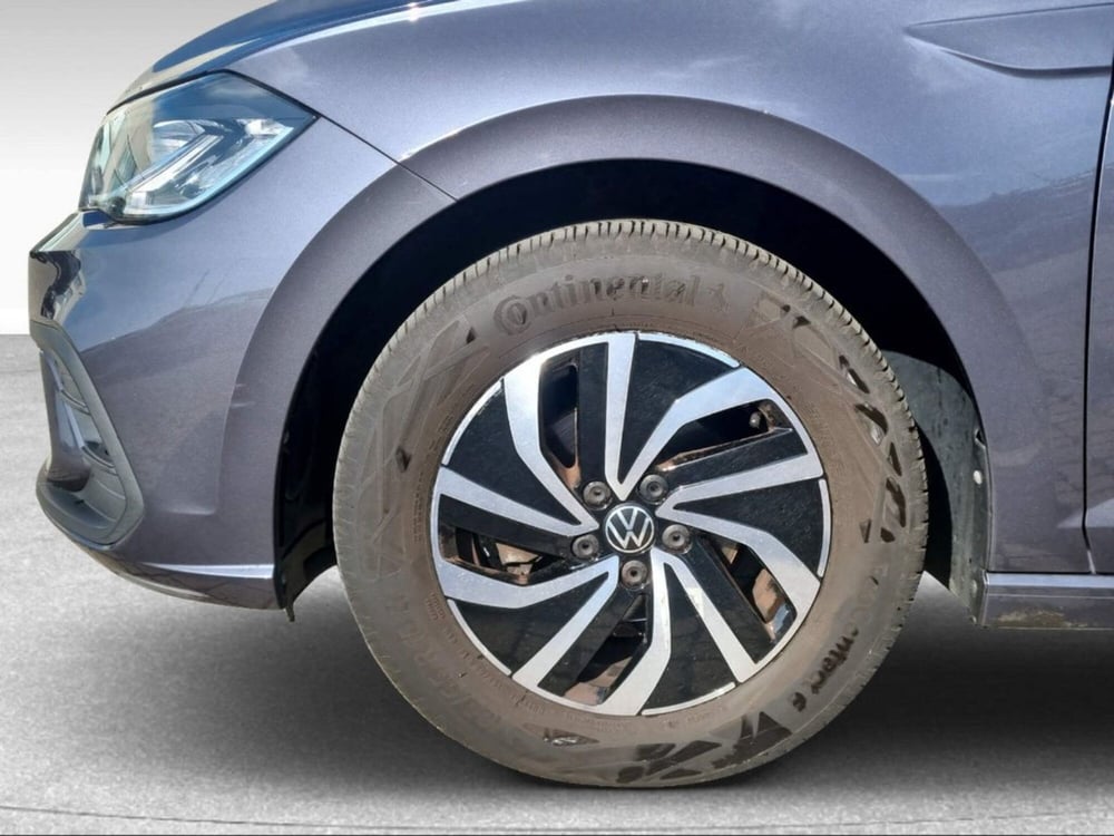 Volkswagen Polo usata a Livorno (15)