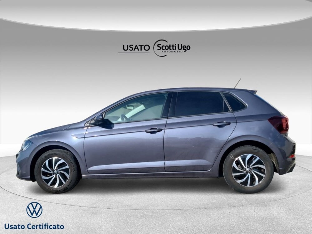 Volkswagen Polo usata a Livorno (3)