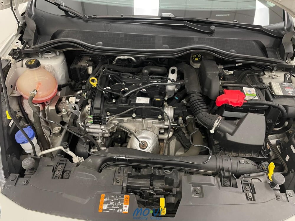 Ford Fiesta usata a Torino (4)