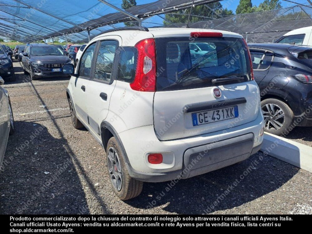 Fiat Panda usata a Modena (15)