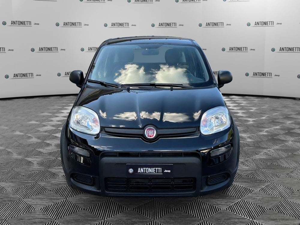 Fiat Panda Cross nuova a Ancona (2)