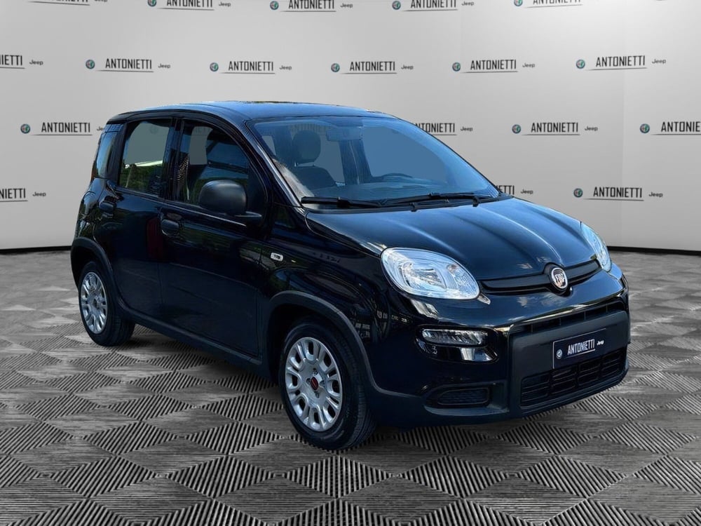 Fiat Panda Cross nuova a Ancona (3)