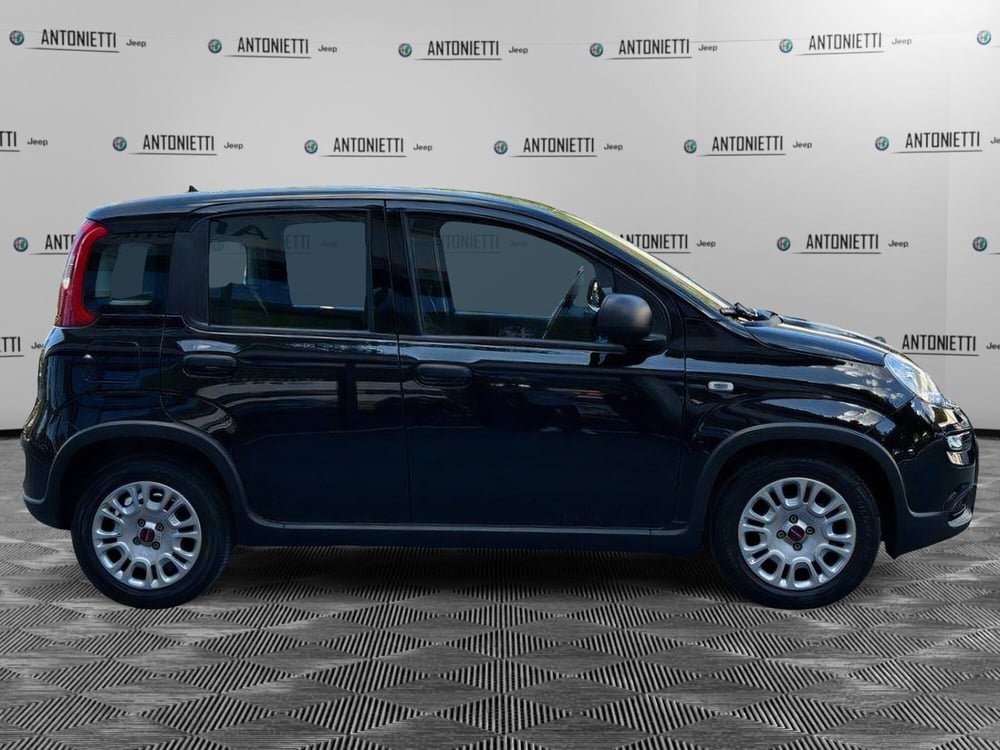 Fiat Panda Cross nuova a Ancona (5)