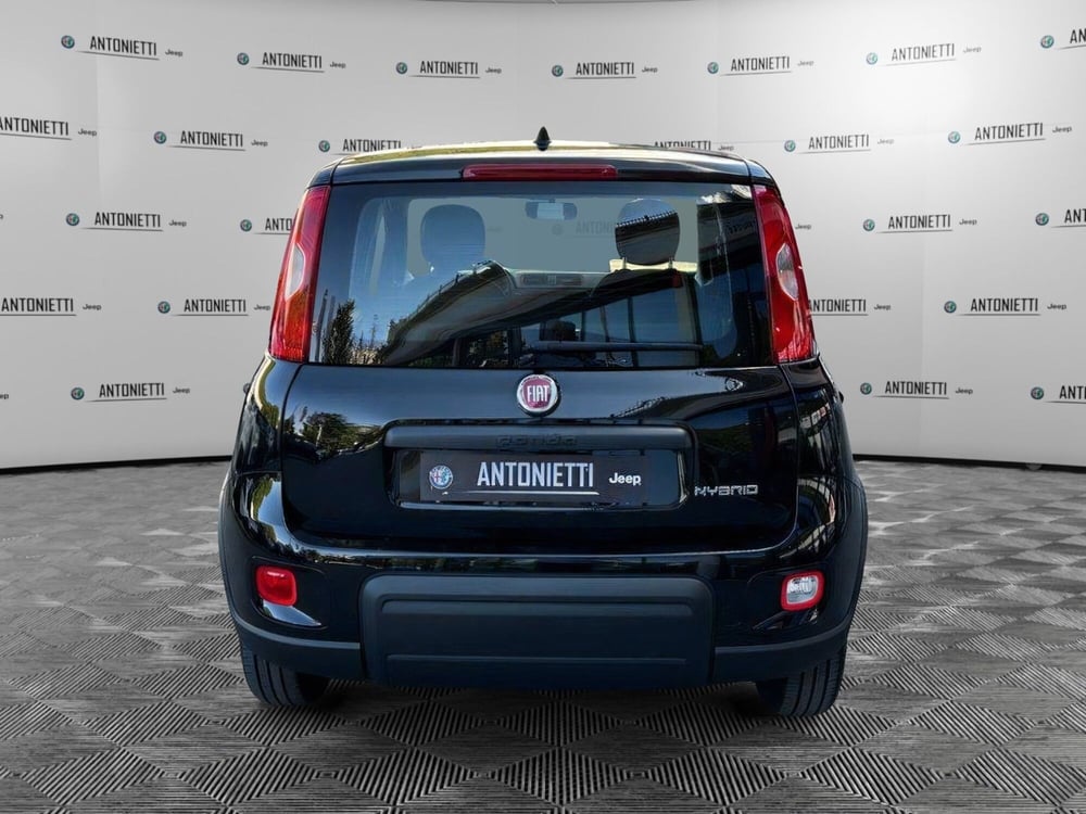 Fiat Panda Cross nuova a Ancona (6)