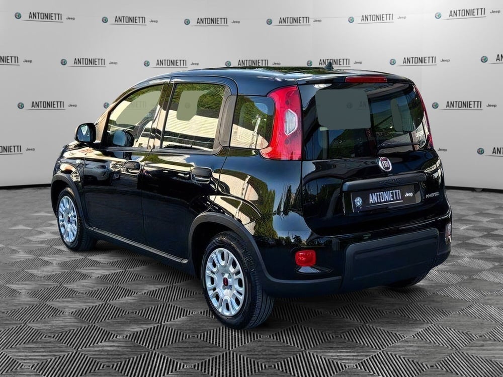 Fiat Panda Cross nuova a Ancona (7)