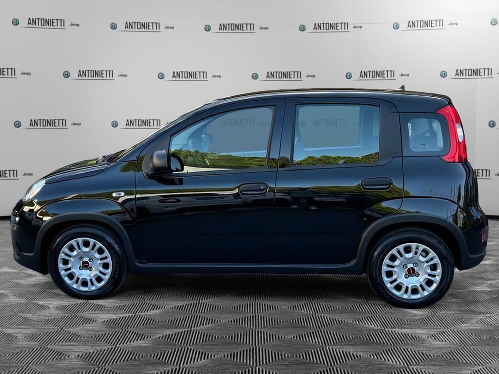 Fiat Panda Cross nuova a Ancona (8)