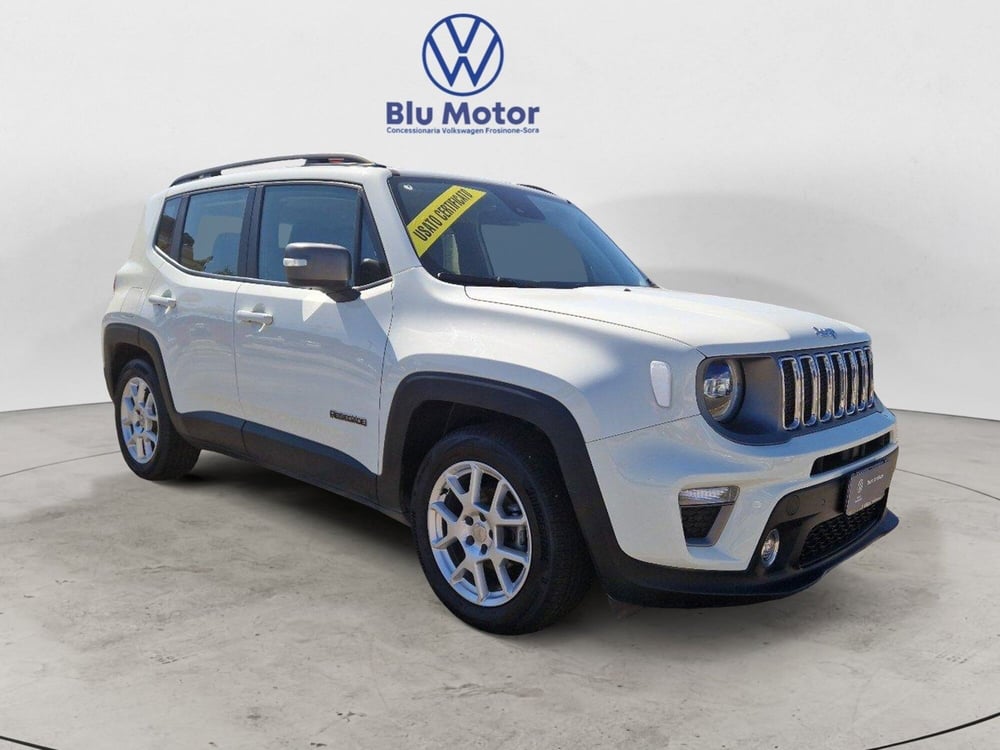 Jeep Renegade usata a Frosinone (3)