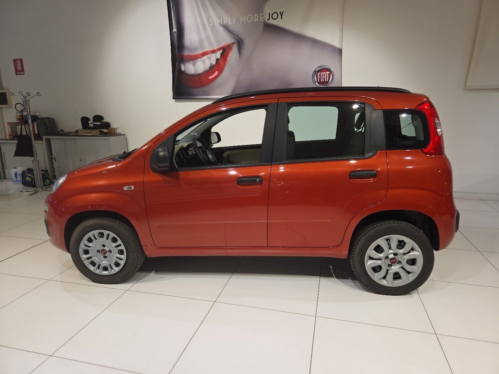 Fiat Panda usata a Parma (2)