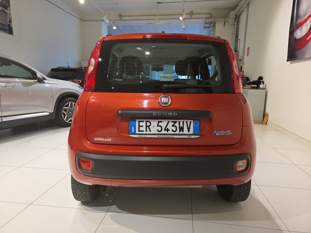 Fiat Panda usata a Parma (4)