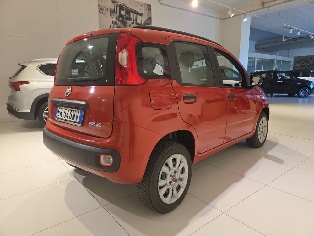 Fiat Panda usata a Parma (5)