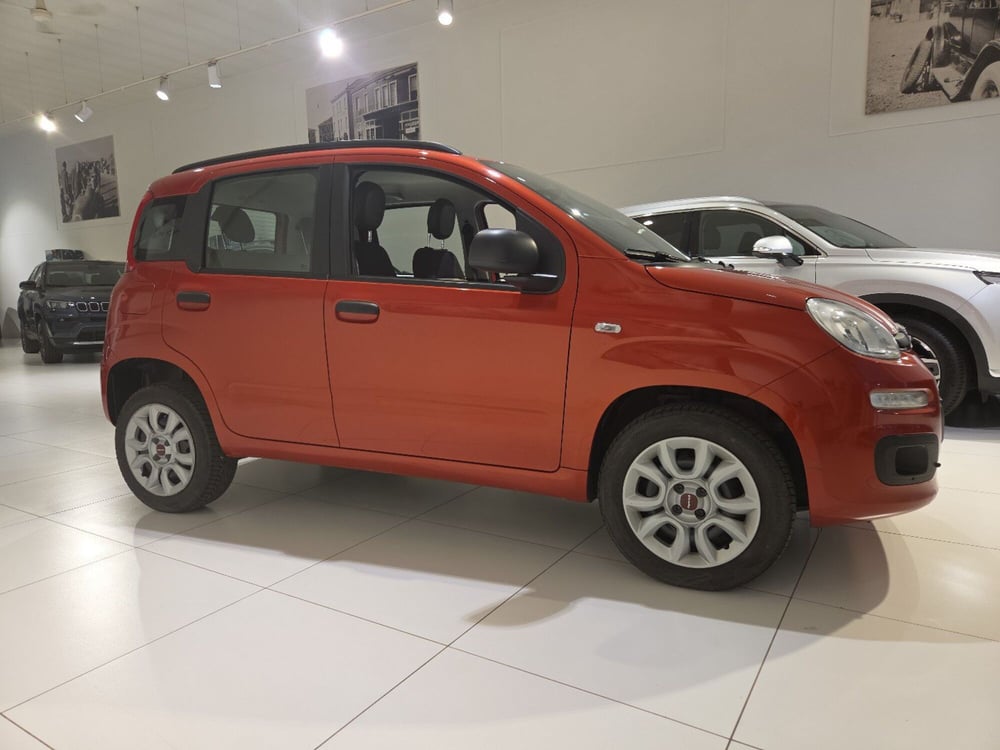 Fiat Panda usata a Parma (6)