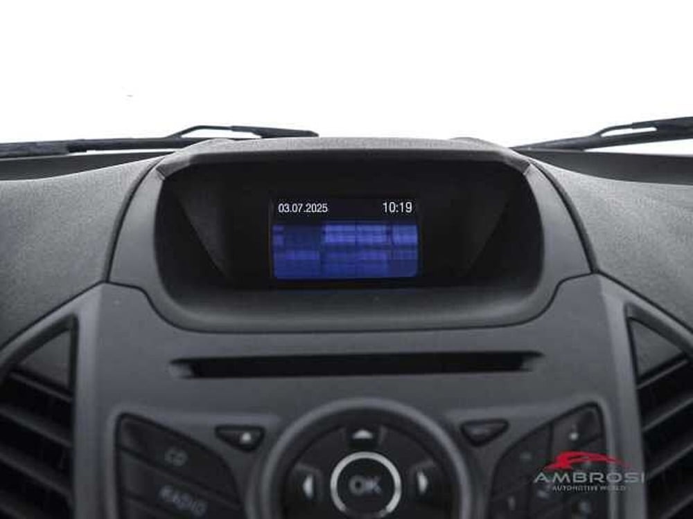 Ford EcoSport usata a Viterbo (14)