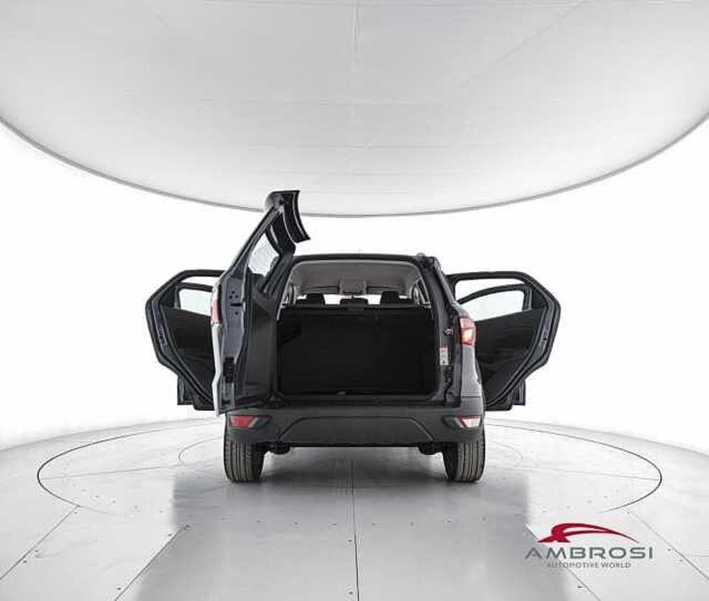 Ford EcoSport usata a Viterbo (7)