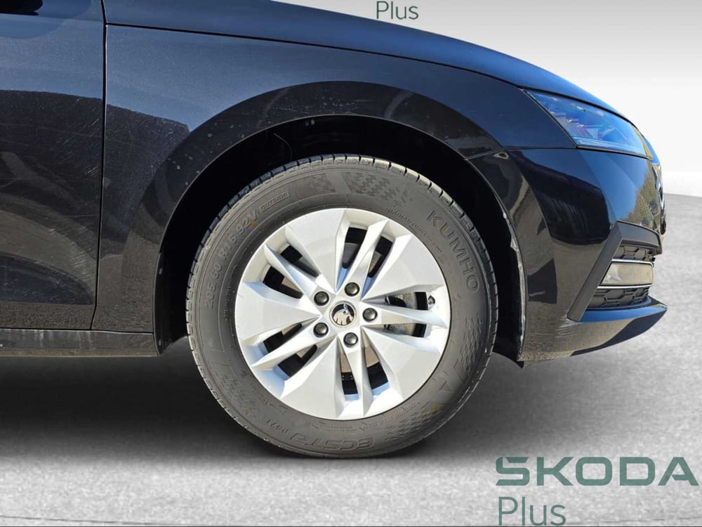 Skoda Octavia Station Wagon usata a Grosseto (15)