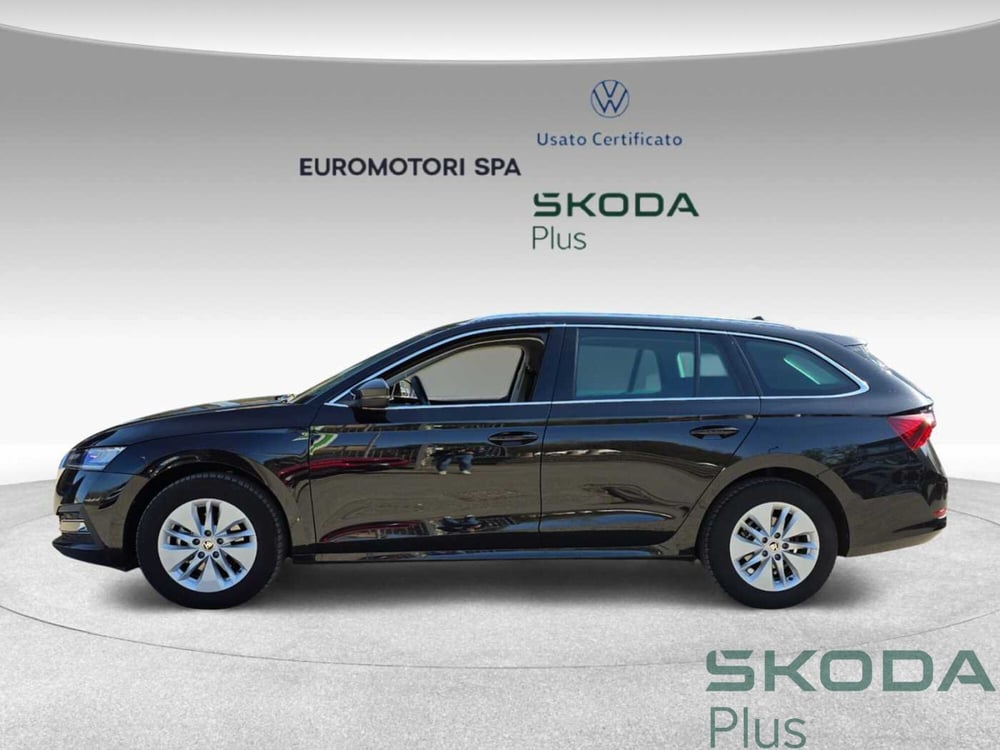 Skoda Octavia Station Wagon usata a Grosseto (2)