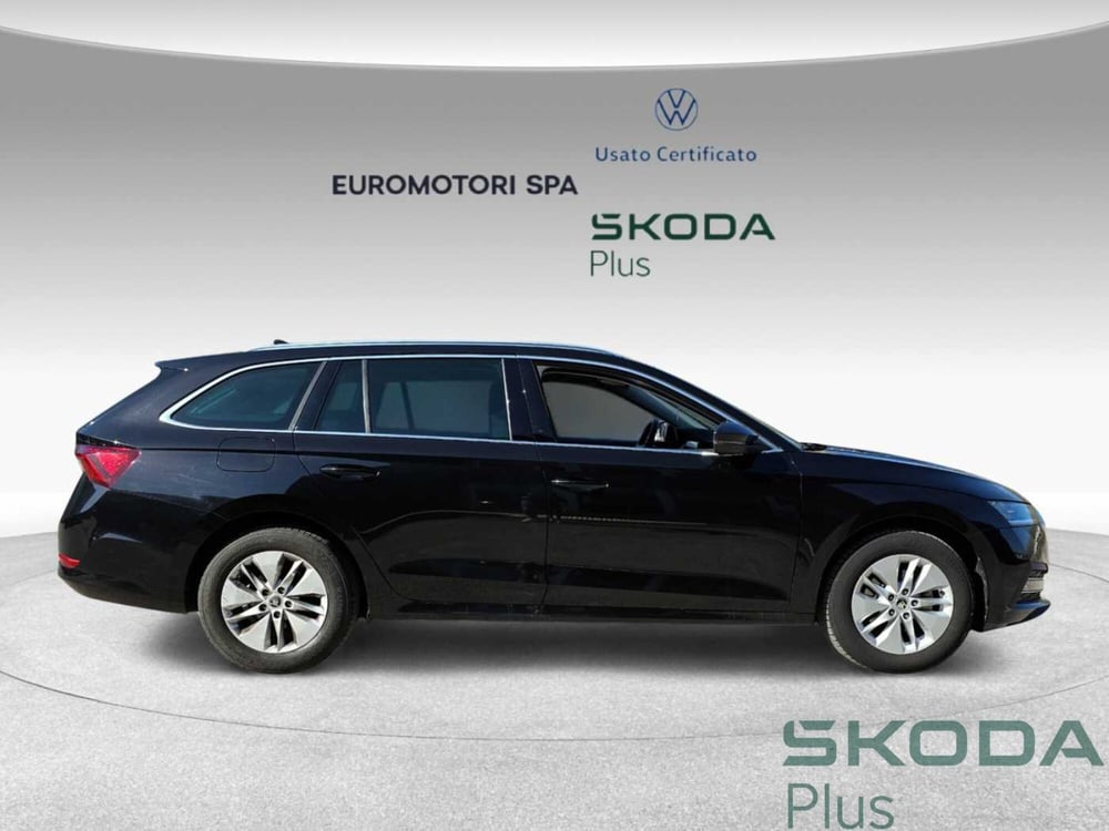 Skoda Octavia Station Wagon usata a Grosseto (5)