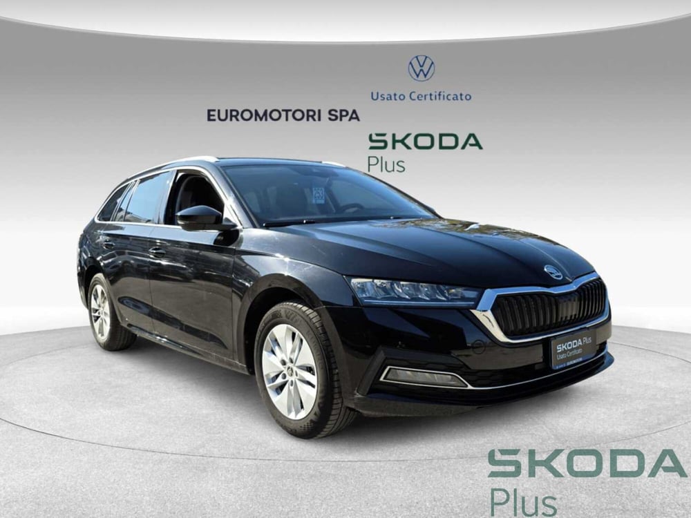 Skoda Octavia Station Wagon usata a Grosseto (6)