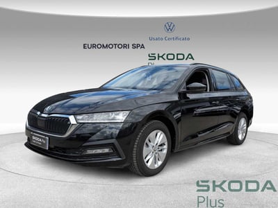 Skoda Octavia Station Wagon 2.0 TDI EVO SCR DSG Wagon Executive del 2024 usata a Monteriggioni
