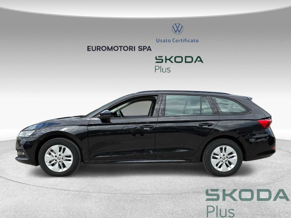 Skoda Octavia Station Wagon usata a Siena (2)