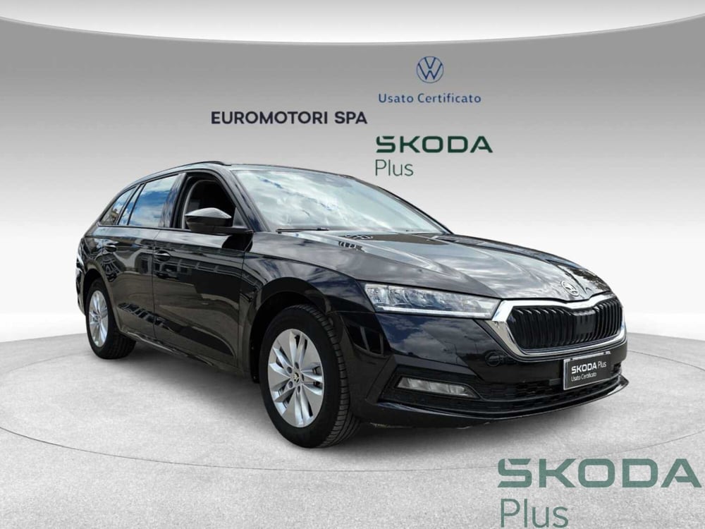 Skoda Octavia Station Wagon usata a Siena (6)