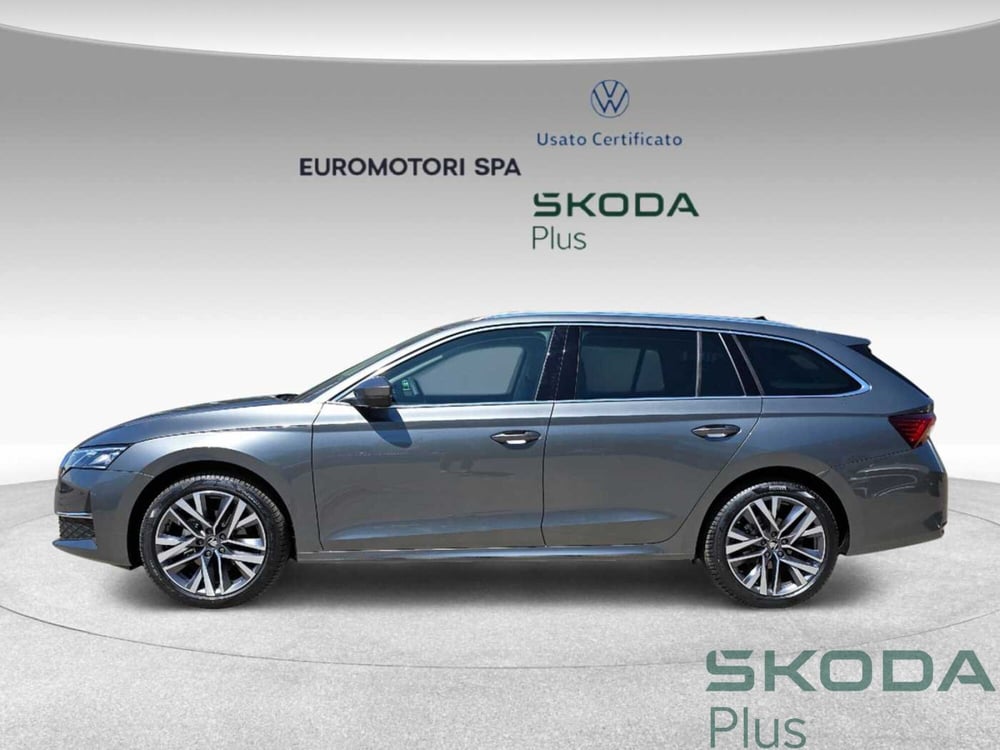 Skoda Octavia Station Wagon nuova a Siena (2)
