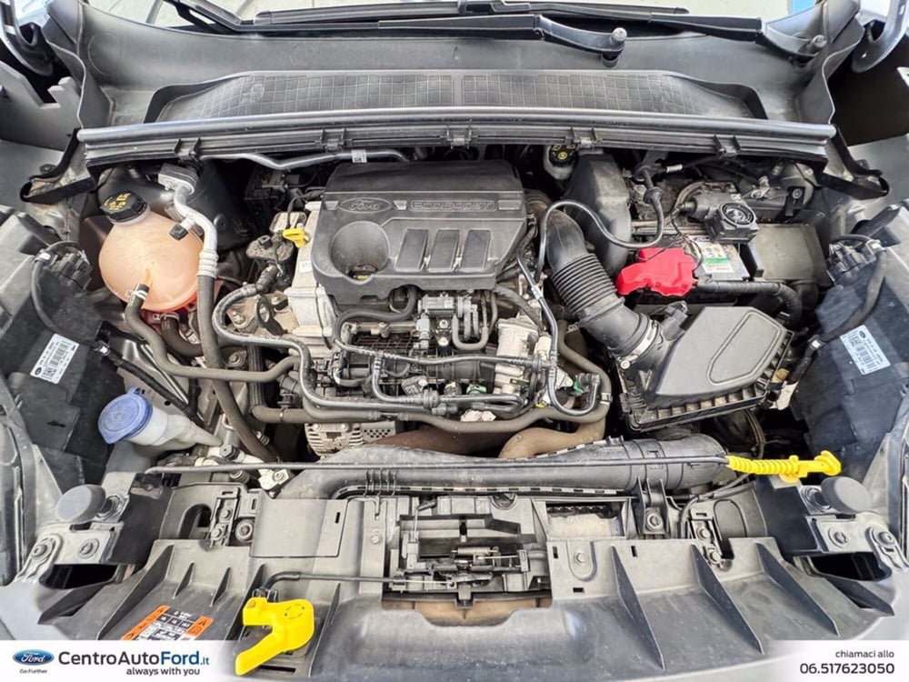 Ford Puma usata a Roma (12)