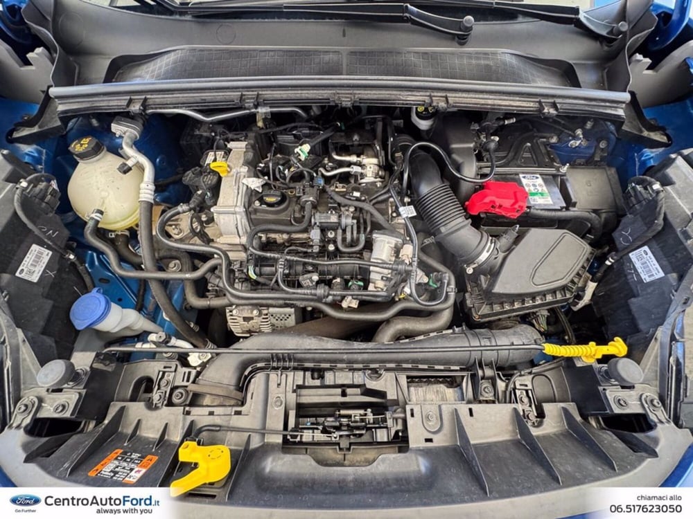 Ford Puma usata a Roma (12)