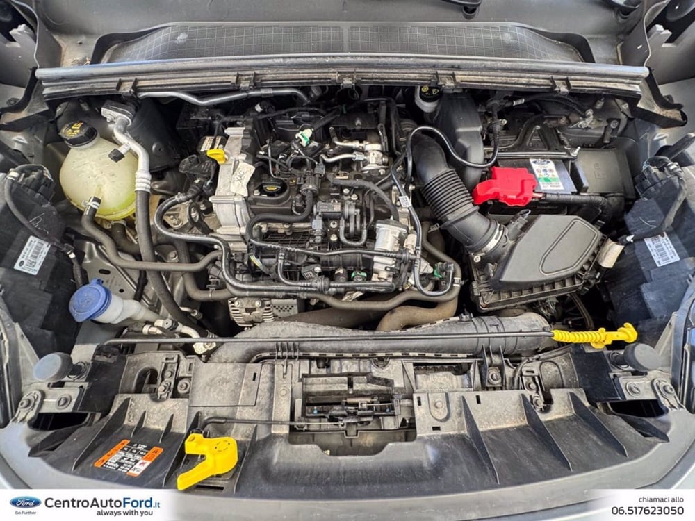 Ford Puma usata a Roma (12)