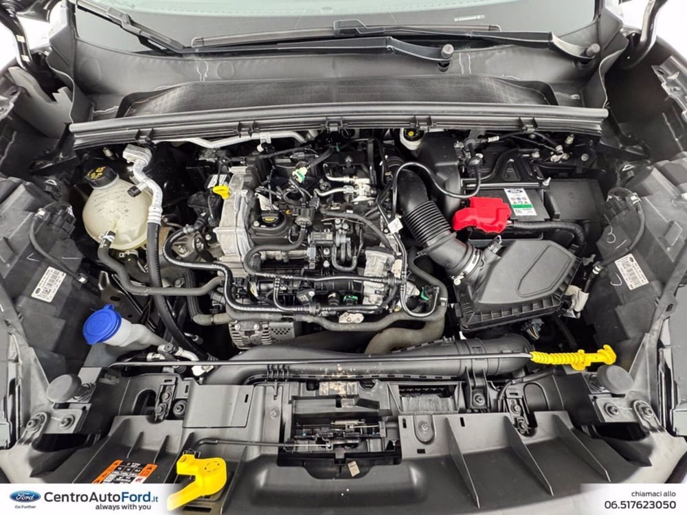 Ford Puma usata a Roma (12)