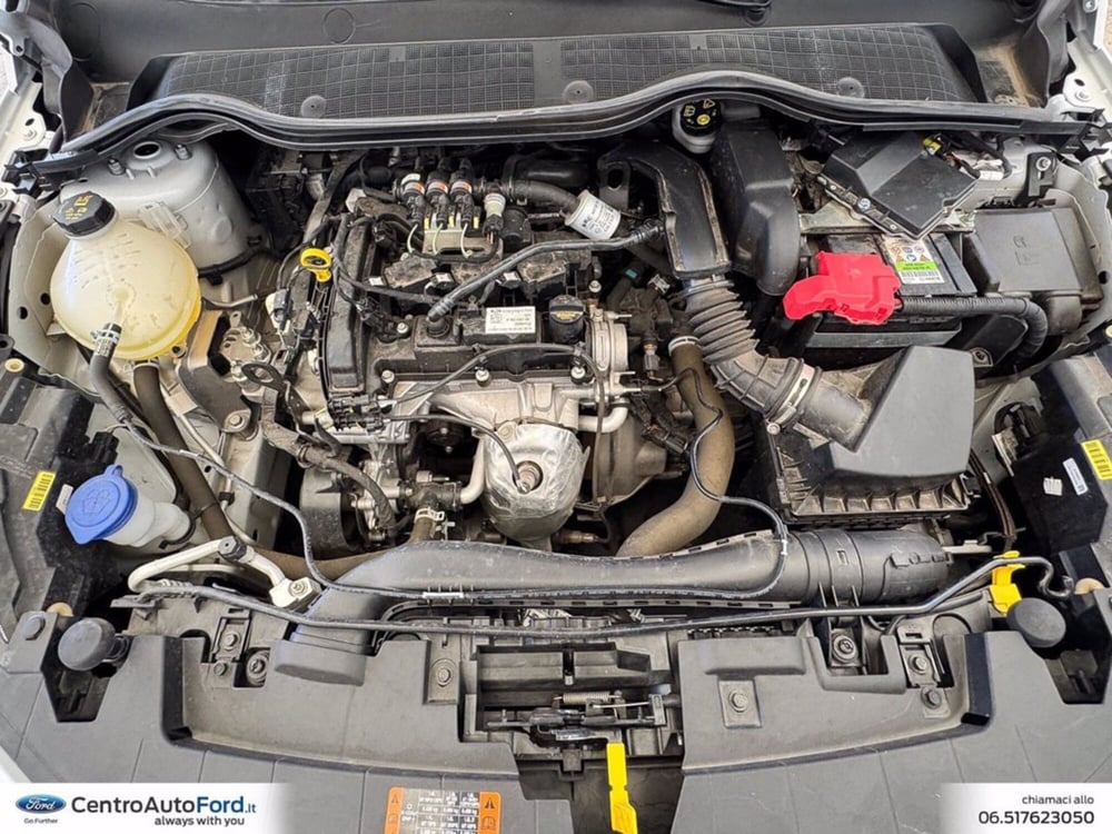 Ford Fiesta usata a Roma (12)
