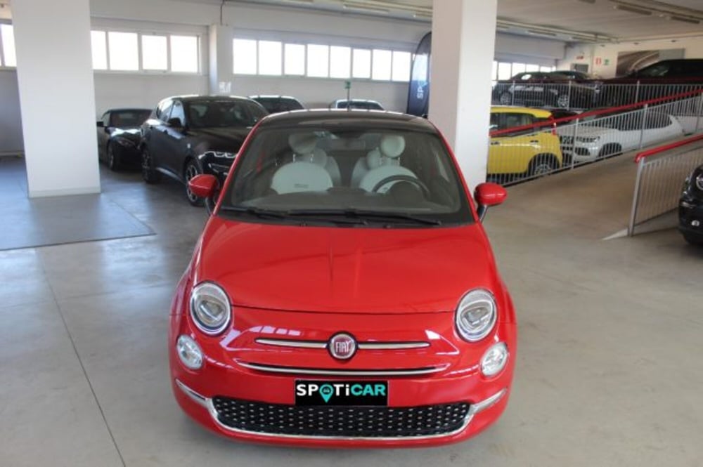 Fiat 500 usata a Terni (2)