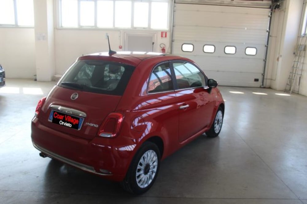 Fiat 500 usata a Terni (4)