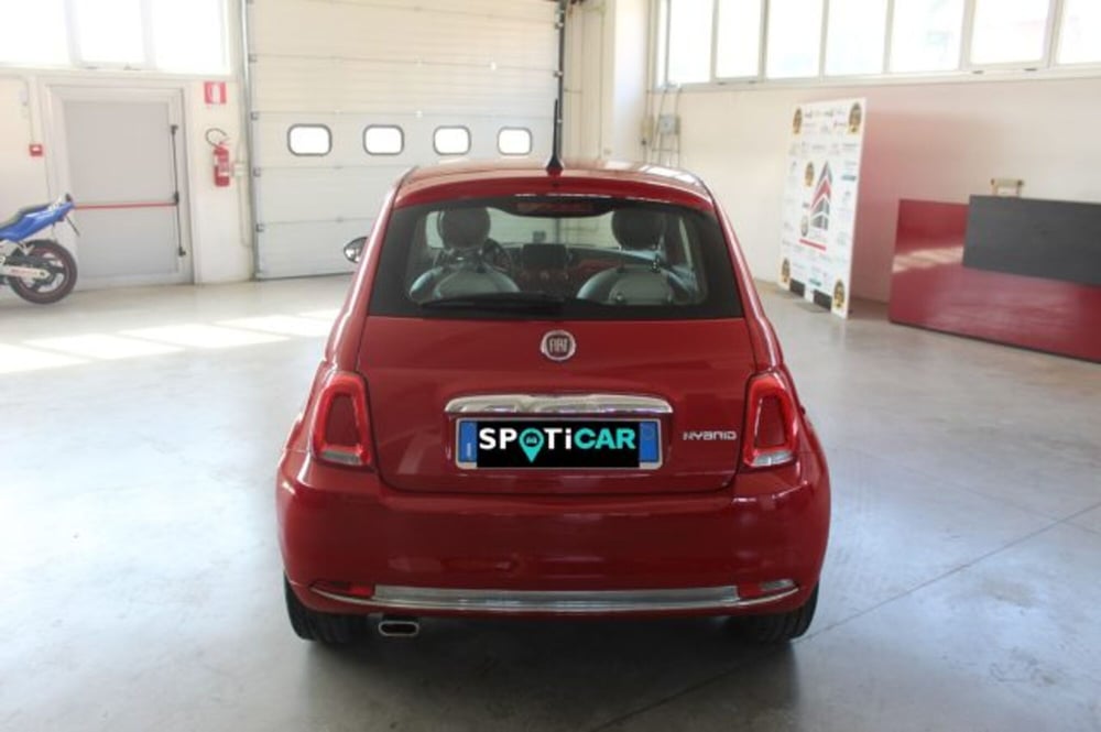 Fiat 500 usata a Terni (5)
